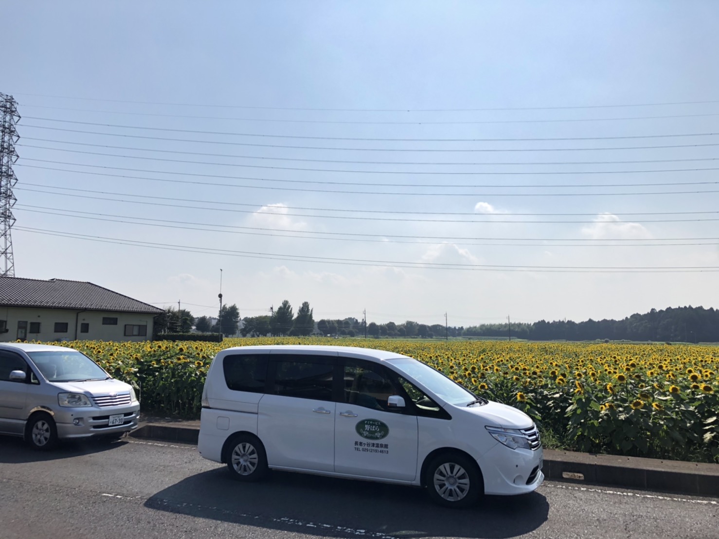 夏のドライブレク