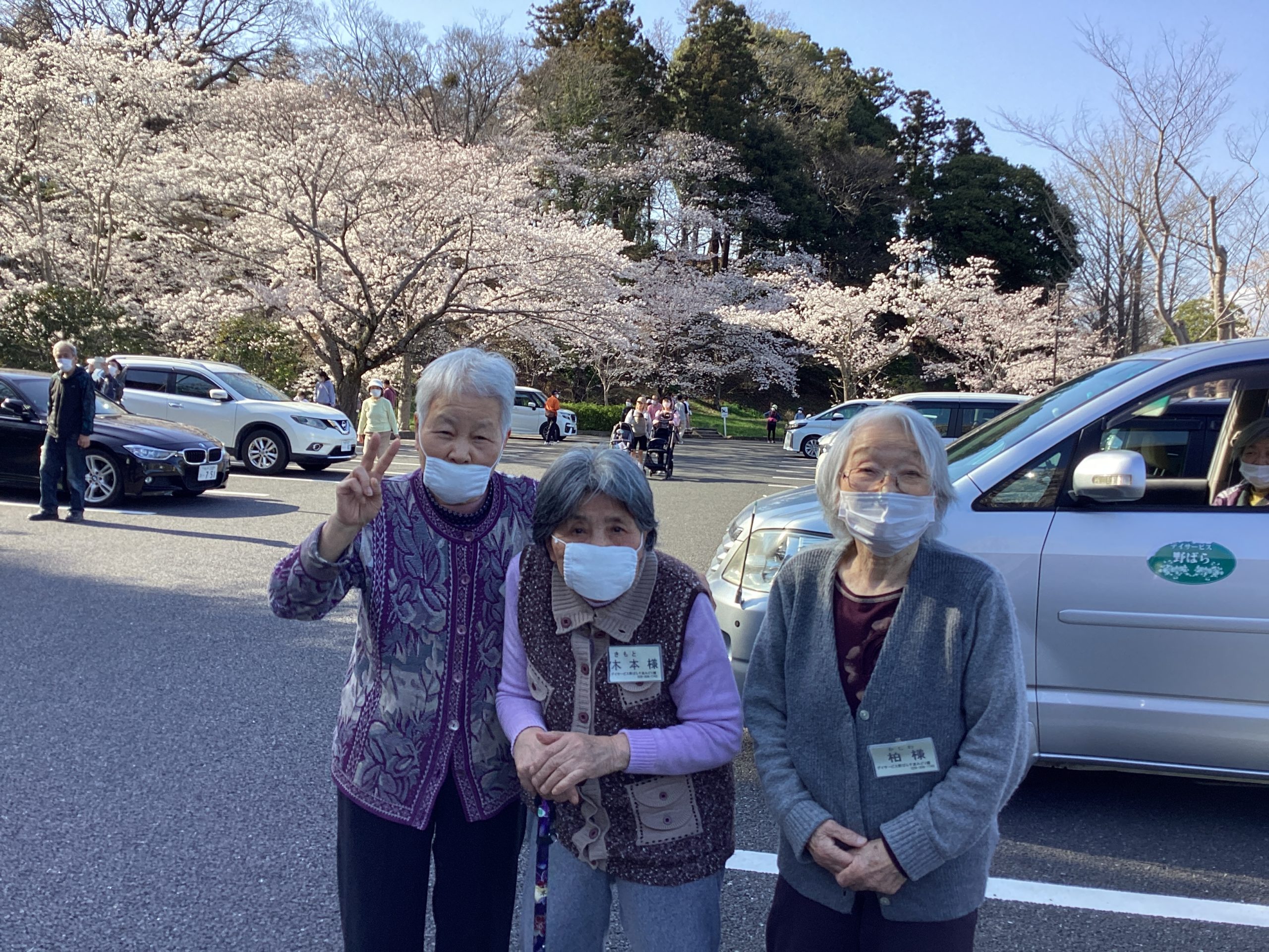 桜のお花見ドライブ♪