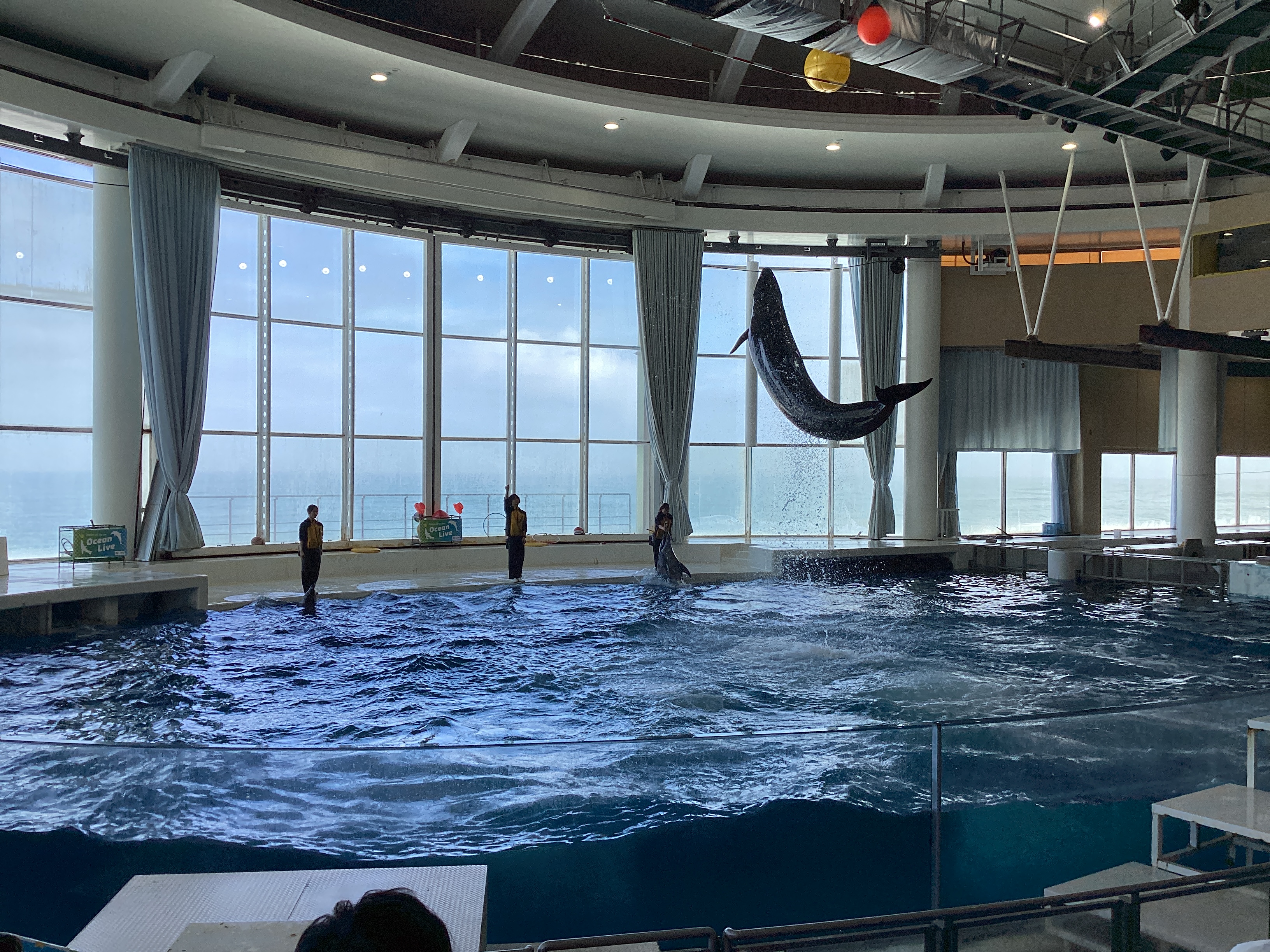 毎年恒例の大洗アクアワールド♪