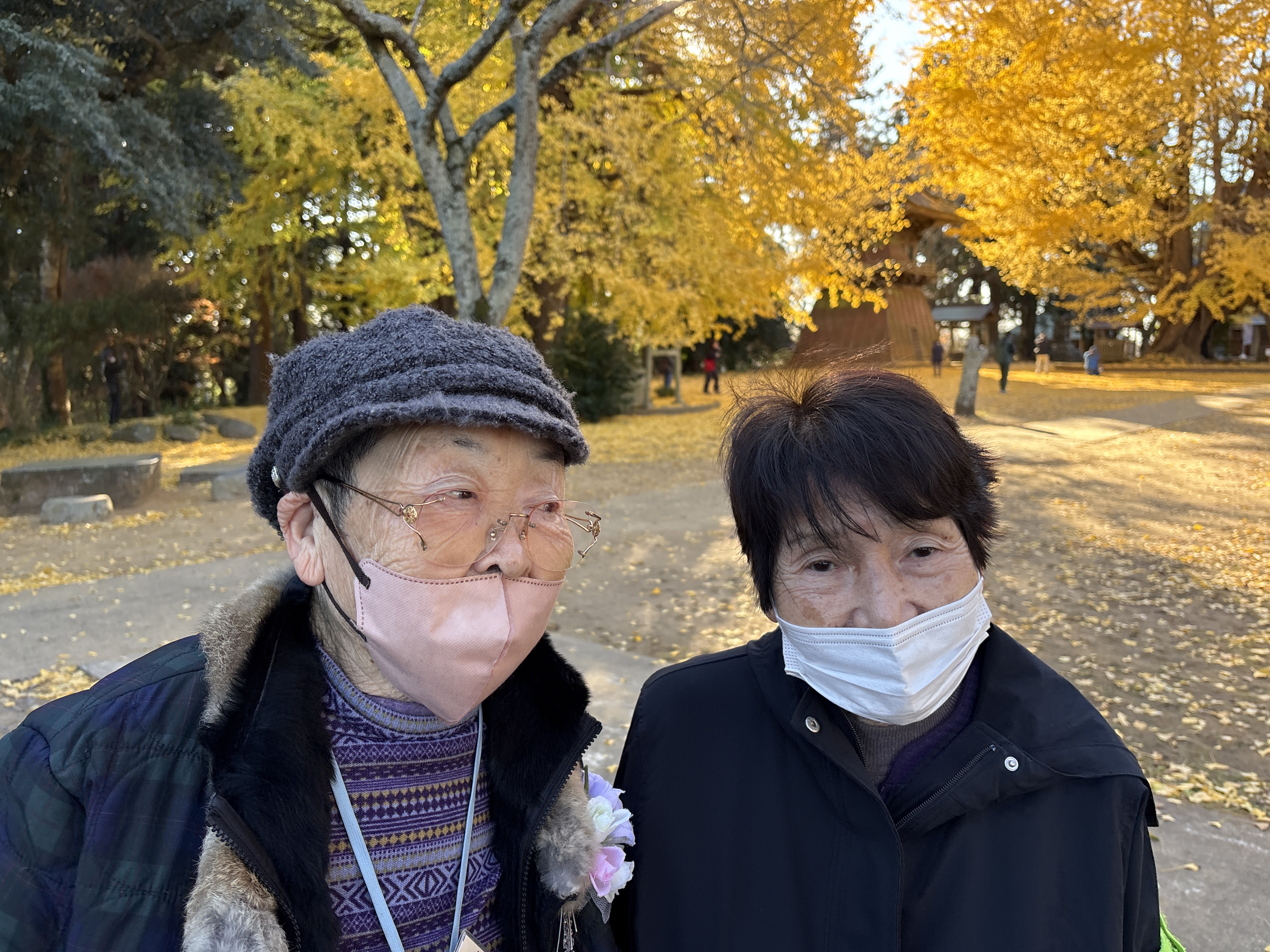 西連寺の大イチョウ♪