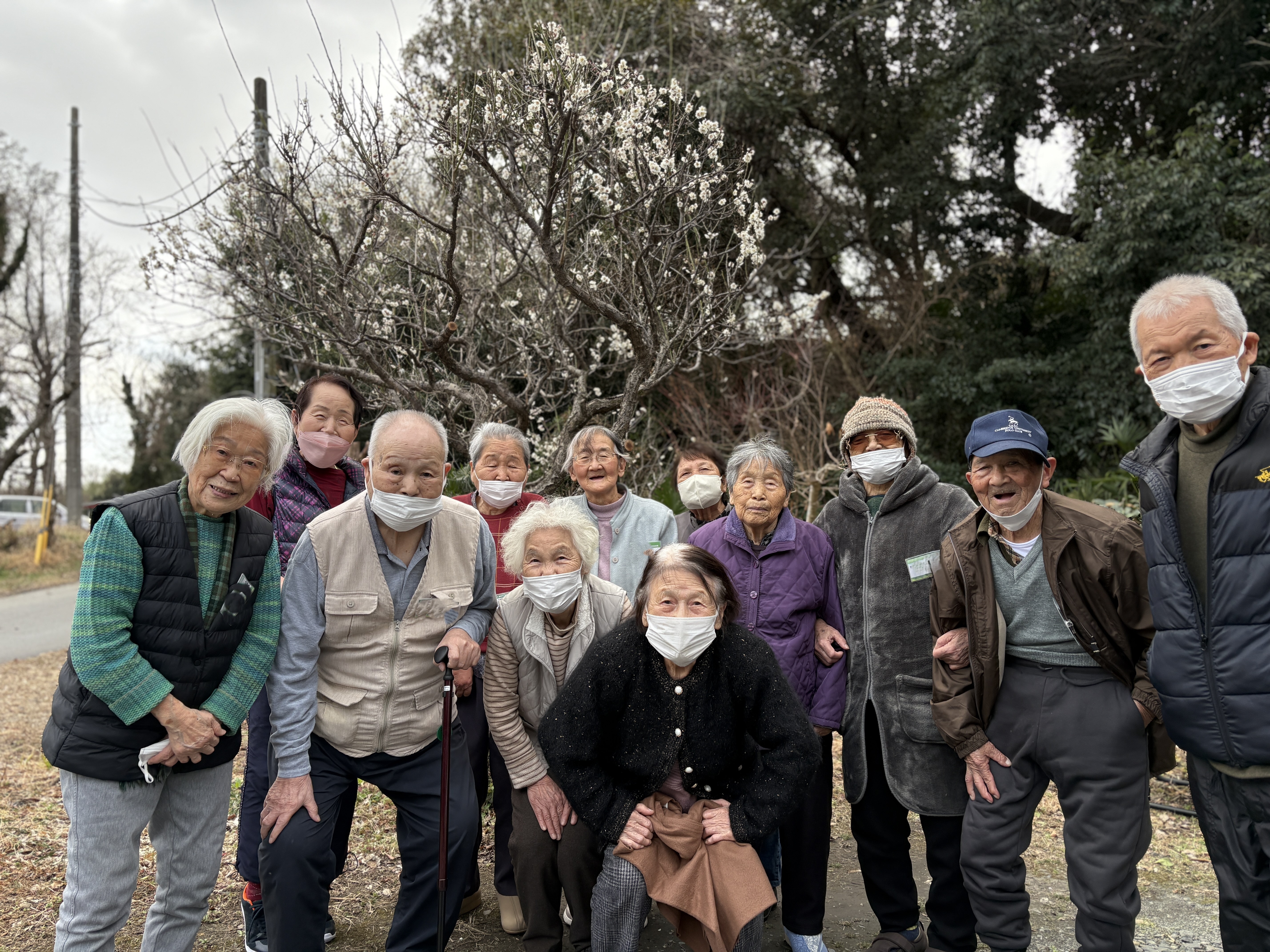 野ばらの庭先で観梅を楽しむ