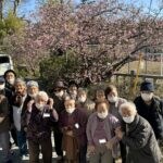 各所で満開の桜を楽しむ