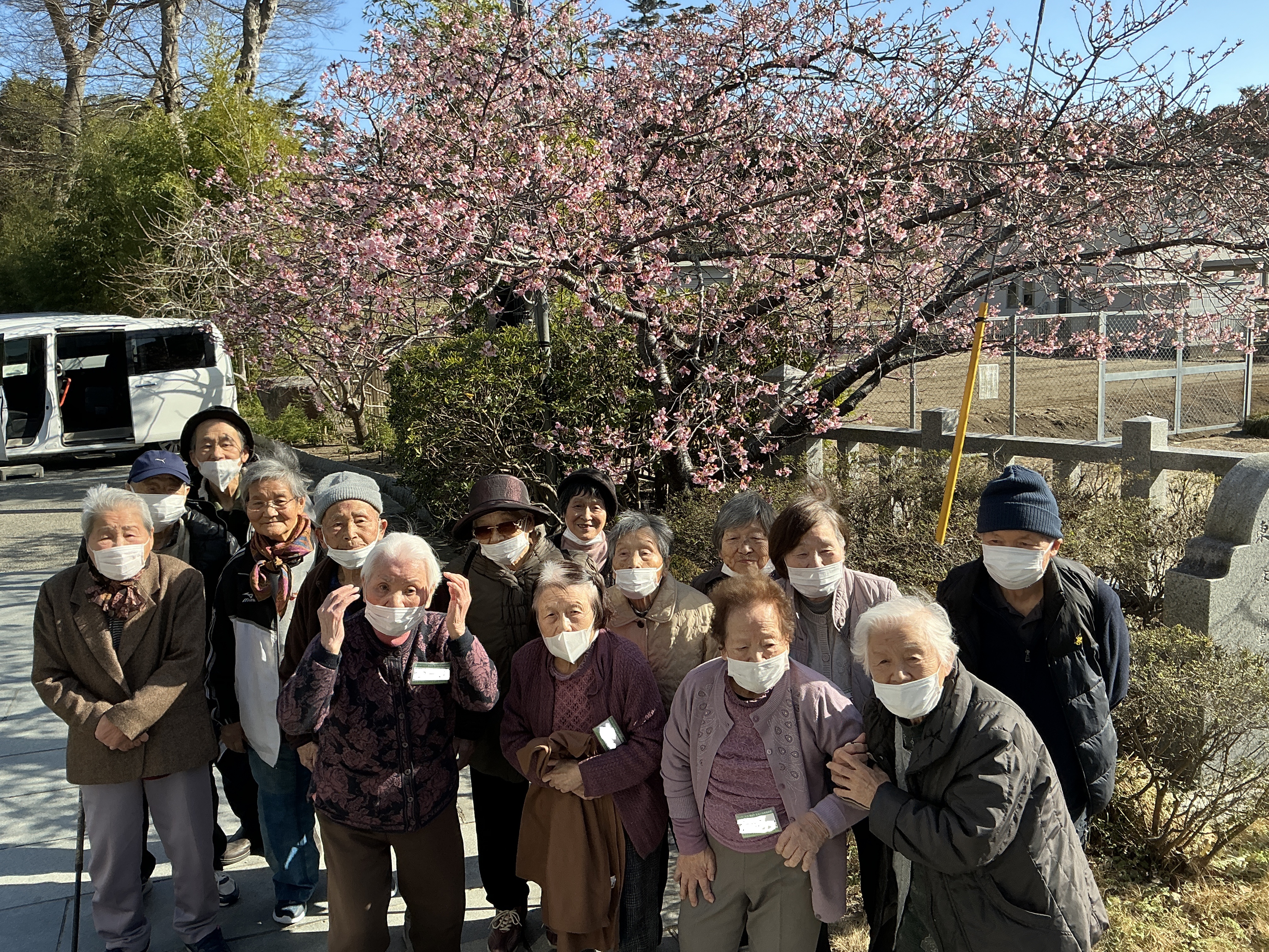 各所で満開の桜を楽しむ