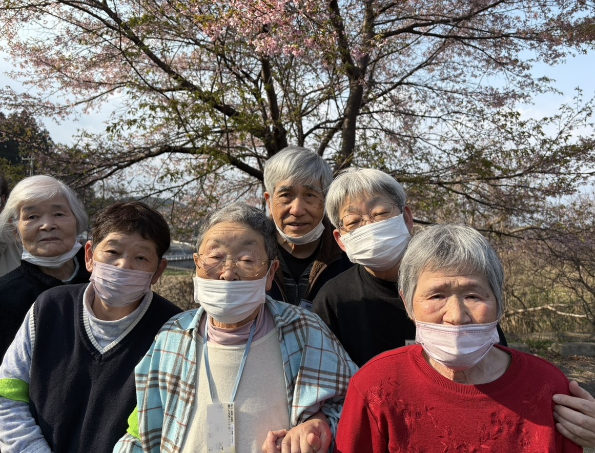 桜の便りをお届けします♪